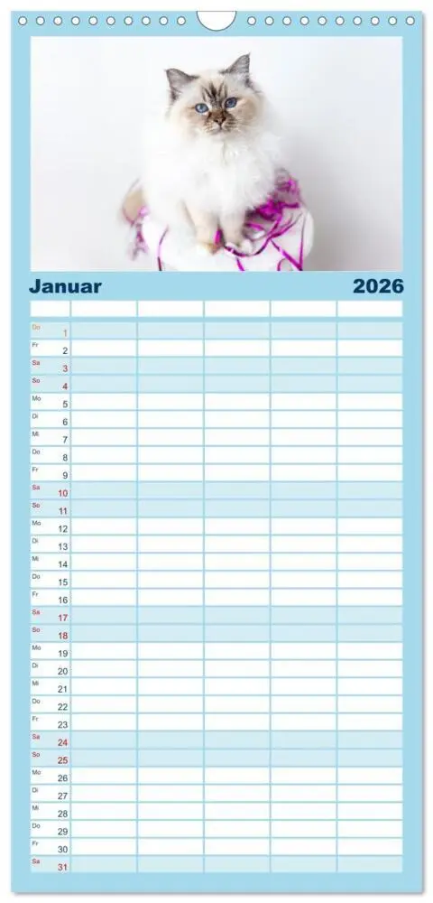 Bild: 9783516746075 | Familienplaner 2026 - Heilige Birma Katzen Kalender mit 5 Spalten...