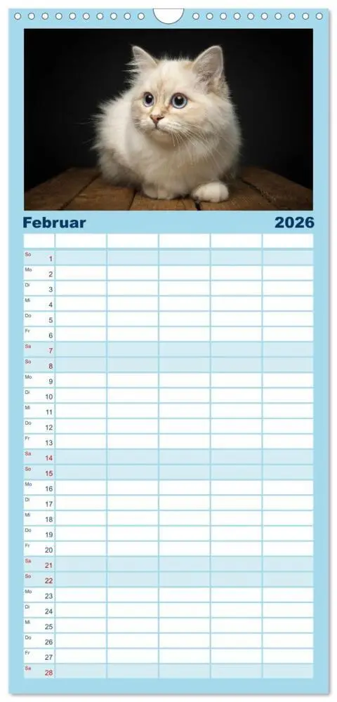 Bild: 9783516746075 | Familienplaner 2026 - Heilige Birma Katzen Kalender mit 5 Spalten...