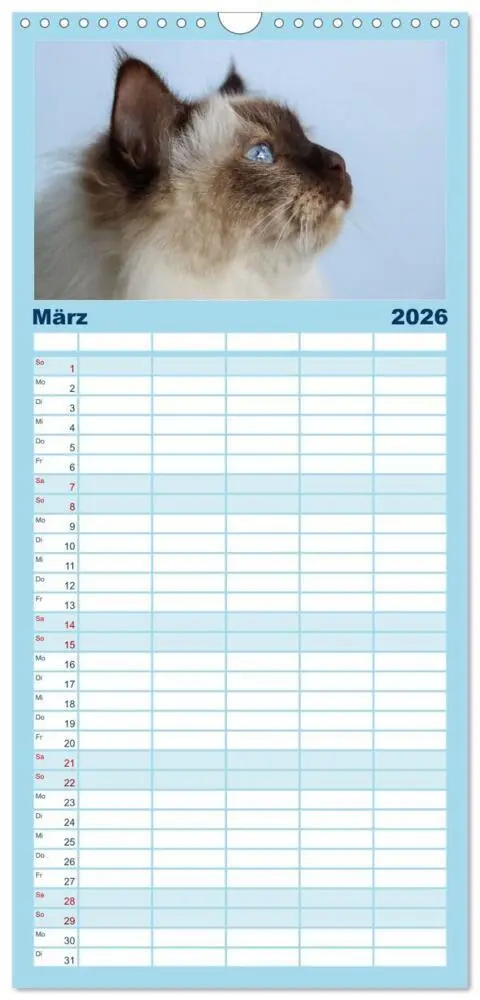 Bild: 9783516746075 | Familienplaner 2026 - Heilige Birma Katzen Kalender mit 5 Spalten...