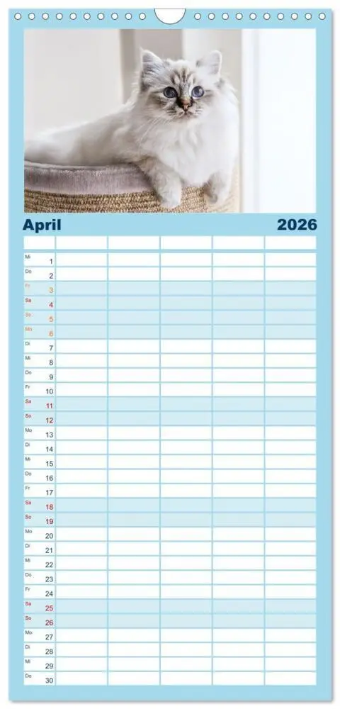 Bild: 9783516746075 | Familienplaner 2026 - Heilige Birma Katzen Kalender mit 5 Spalten...
