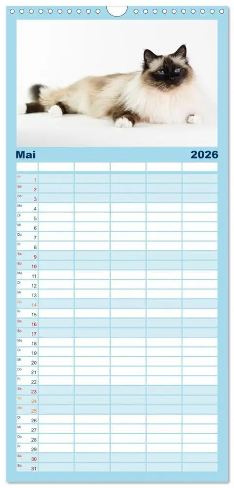 Bild: 9783516746075 | Familienplaner 2026 - Heilige Birma Katzen Kalender mit 5 Spalten...