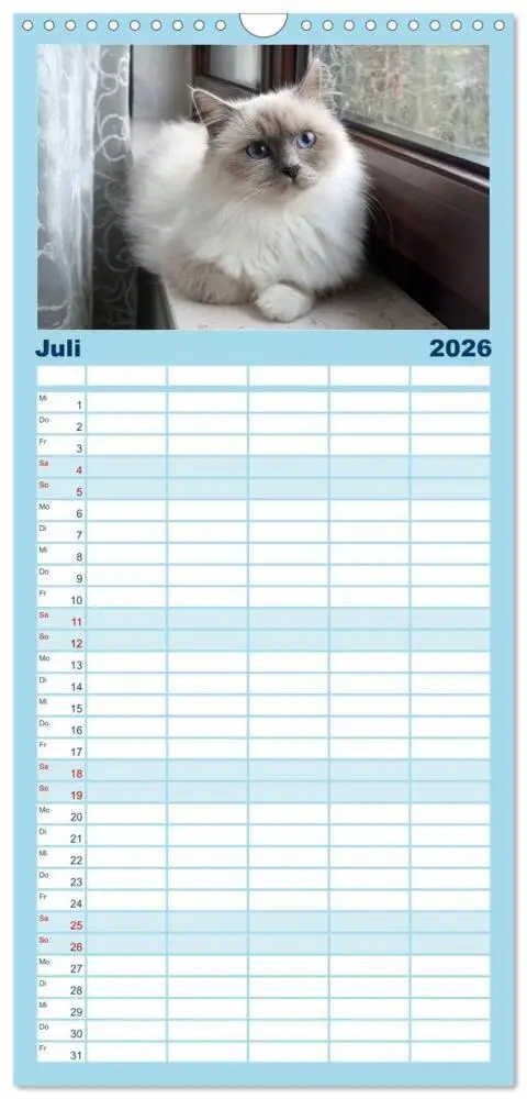 Bild: 9783516746075 | Familienplaner 2026 - Heilige Birma Katzen Kalender mit 5 Spalten...