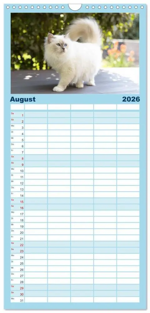 Bild: 9783516746075 | Familienplaner 2026 - Heilige Birma Katzen Kalender mit 5 Spalten...
