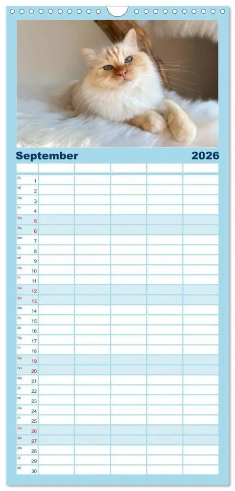 Bild: 9783516746075 | Familienplaner 2026 - Heilige Birma Katzen Kalender mit 5 Spalten...