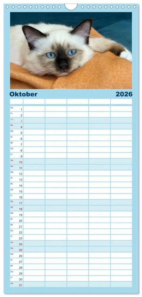 Bild: 9783516746075 | Familienplaner 2026 - Heilige Birma Katzen Kalender mit 5 Spalten...