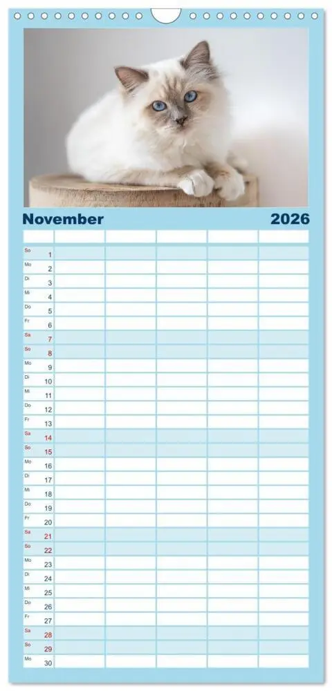 Bild: 9783516746075 | Familienplaner 2026 - Heilige Birma Katzen Kalender mit 5 Spalten...