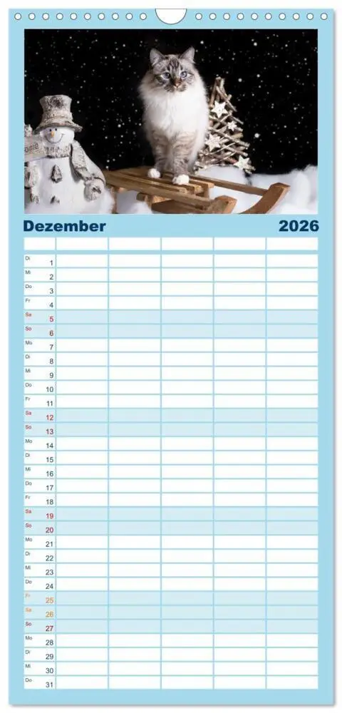 Bild: 9783516746075 | Familienplaner 2026 - Heilige Birma Katzen Kalender mit 5 Spalten...