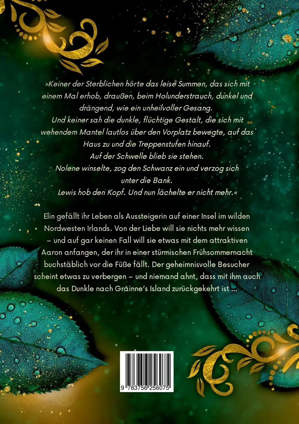 Rückseite: 9783756256075 | Die Feuerleserin | Der Auserwählte | C. H. S. Fahlbusch | Taschenbuch
