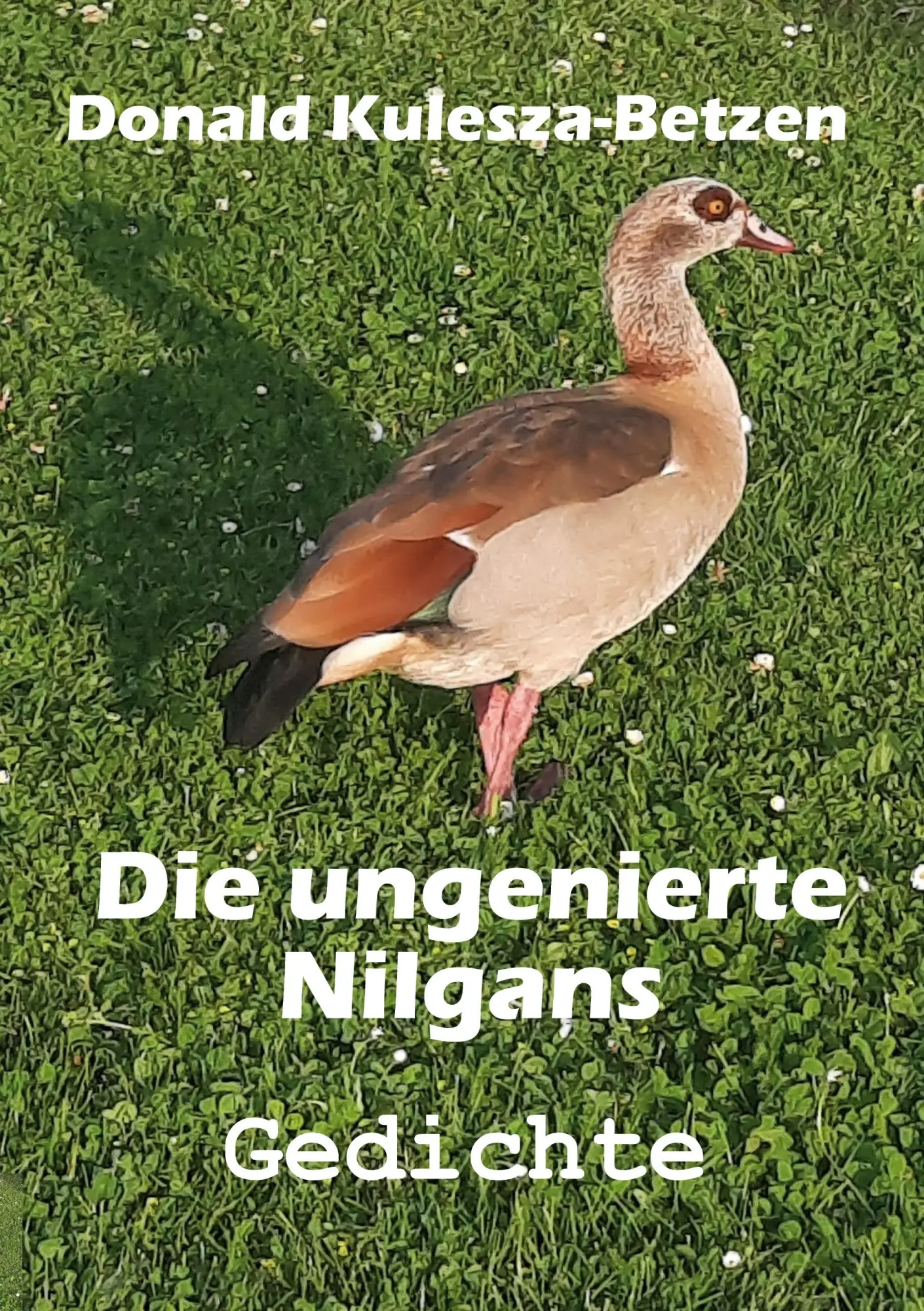 Cover: 9783758306075 | Die ungenierte Nilgans | Gedichte | Donald Kulesza-Betzen | Buch