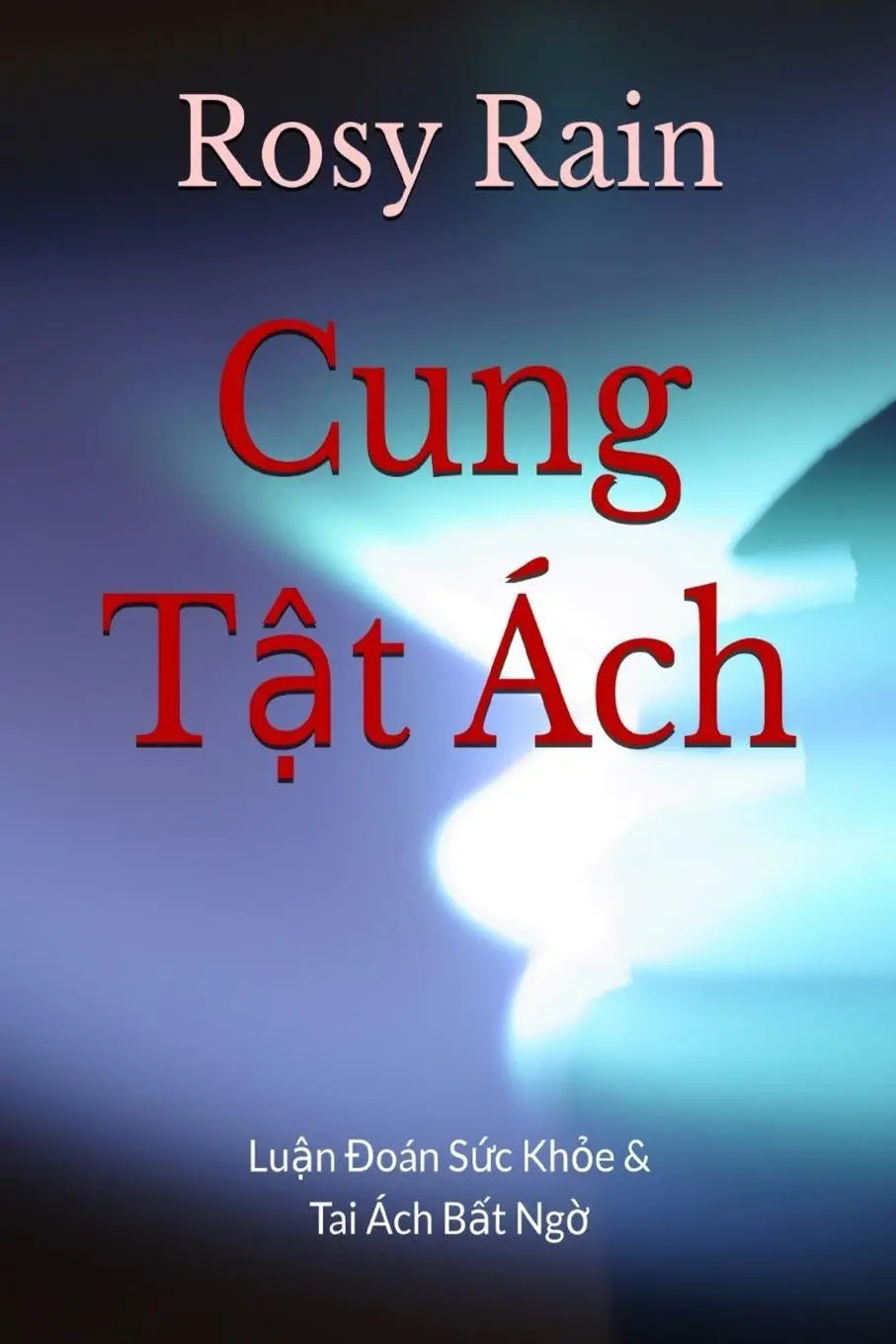 Rückseite: 9798330326075 | T¿ Vi Cung T¿t Ách - Lu¿n ¿oán s¿c kh¿e và tai ách b¿t ng¿ | Le | Buch