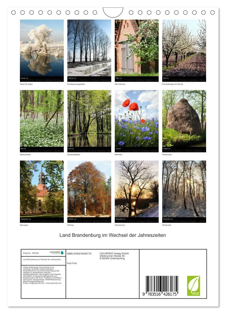 Bild: 9783516426175 | Land Brandenburg im Wechsel der Jahreszeiten (Wandkalender 2026 DIN...