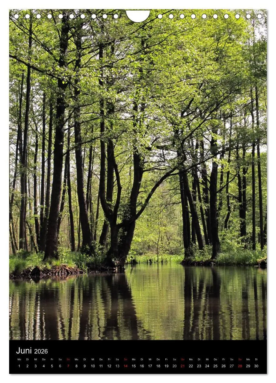 Bild: 9783516426175 | Land Brandenburg im Wechsel der Jahreszeiten (Wandkalender 2026 DIN...