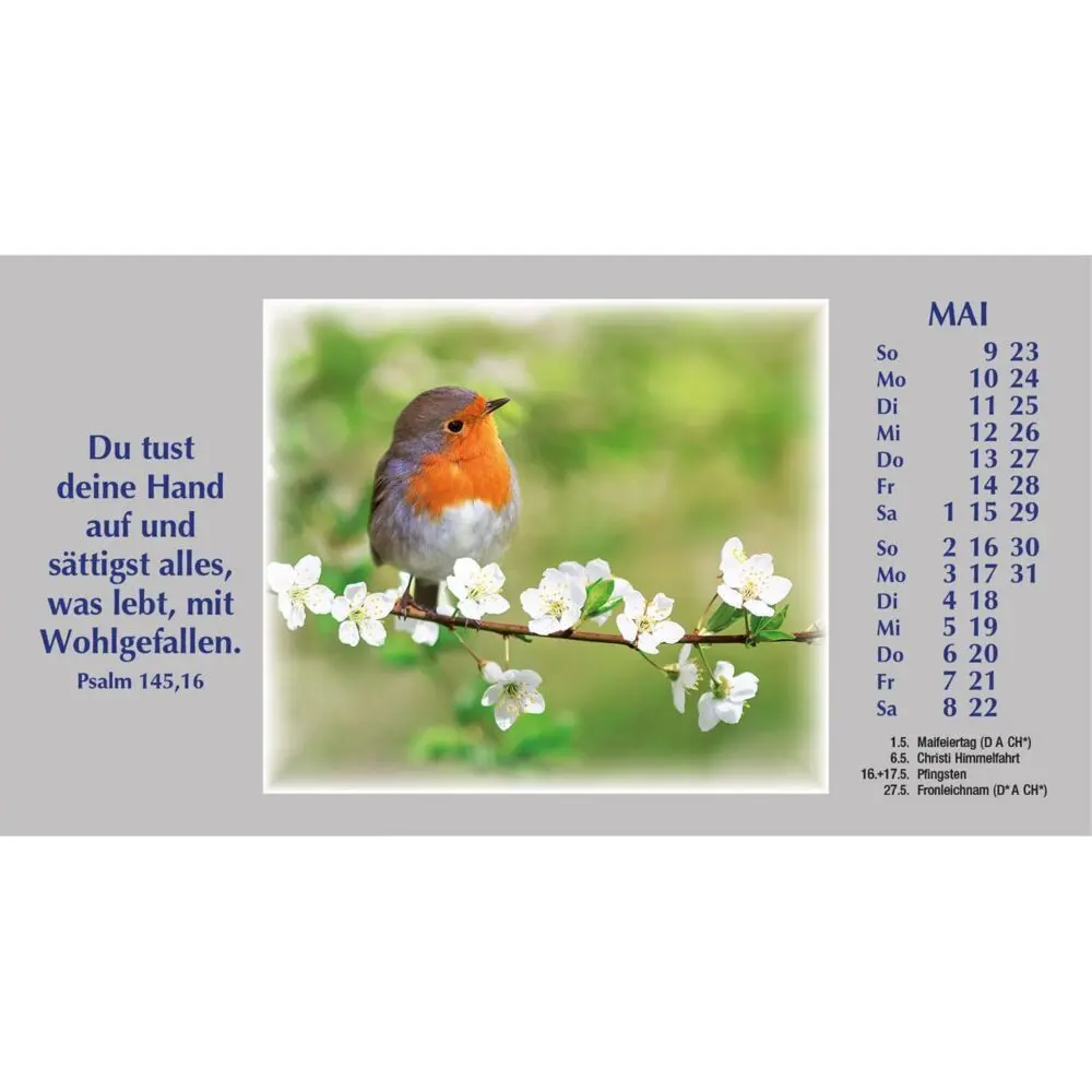 Bild: 9783754886175 | Wege zur Stille 2027 | Autokalender mit Psalmworten und Farbfotos