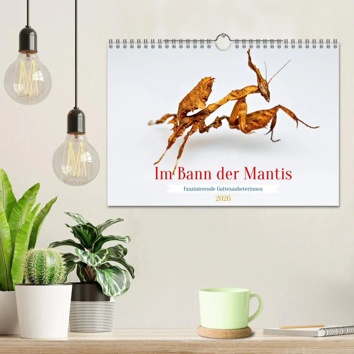 Bild: 9783457246375 | Im Bann der Mantis (Wandkalender 2026 DIN A4 quer), CALVENDO...