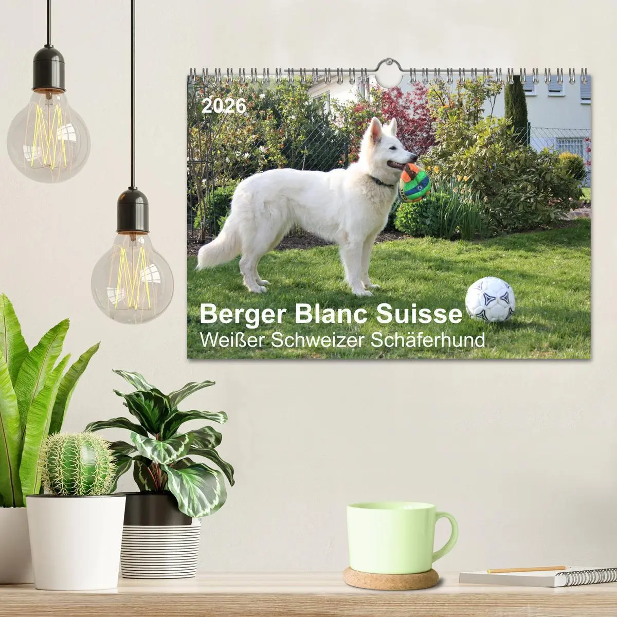 Bild: 9783457796375 | Berger Blanc Suisse - Weißer Schweizer Schäferhund (Wandkalender...