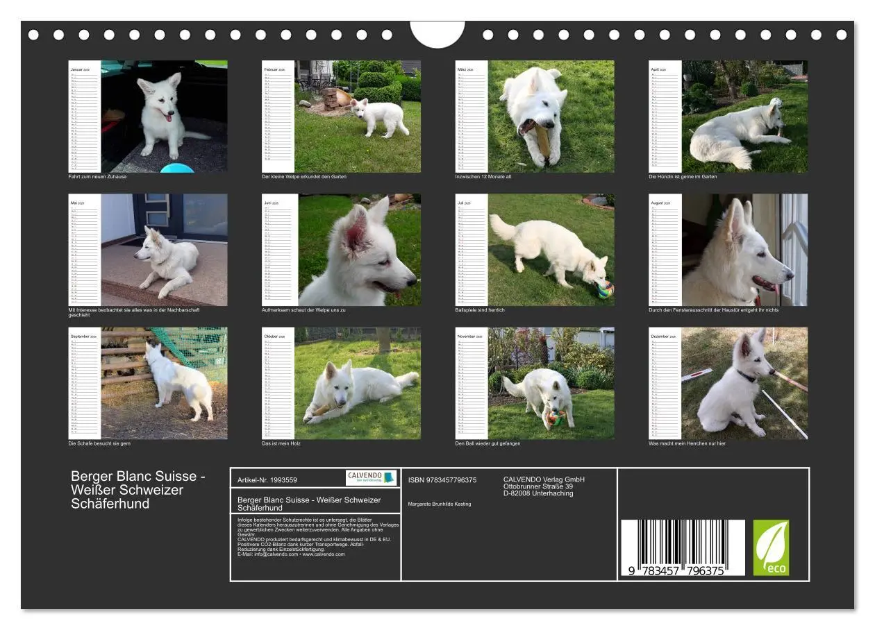 Bild: 9783457796375 | Berger Blanc Suisse - Weißer Schweizer Schäferhund (Wandkalender...