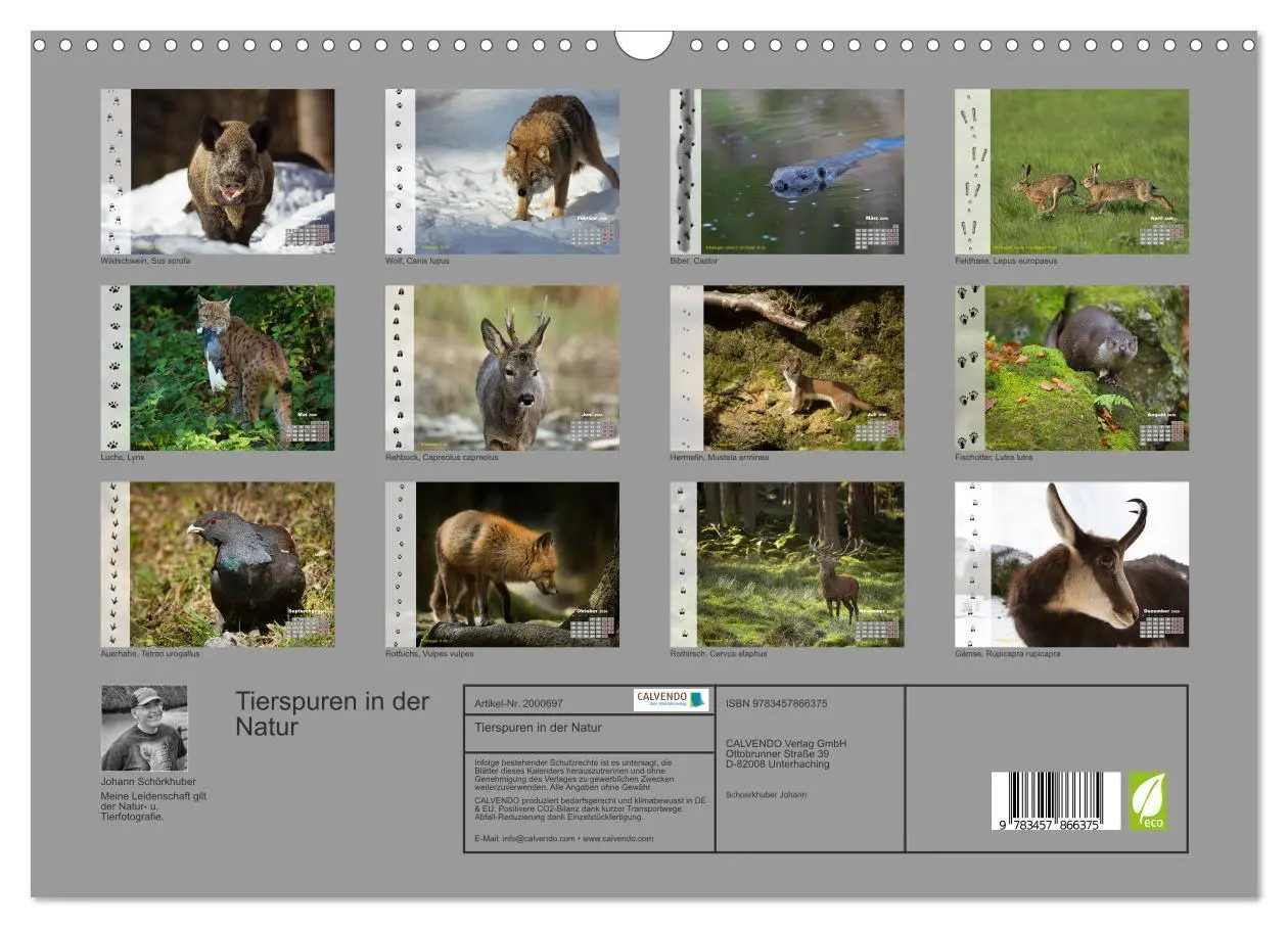 Bild: 9783457866375 | Tierspuren in der Natur (Wandkalender 2026 DIN A3 quer), CALVENDO...