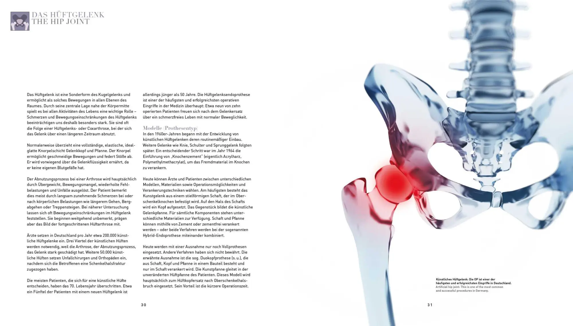 Bild: 9783982326375 | Moderne Orthopädie | Taschenbuch | Deutsch | 2023 | EAN 9783982326375