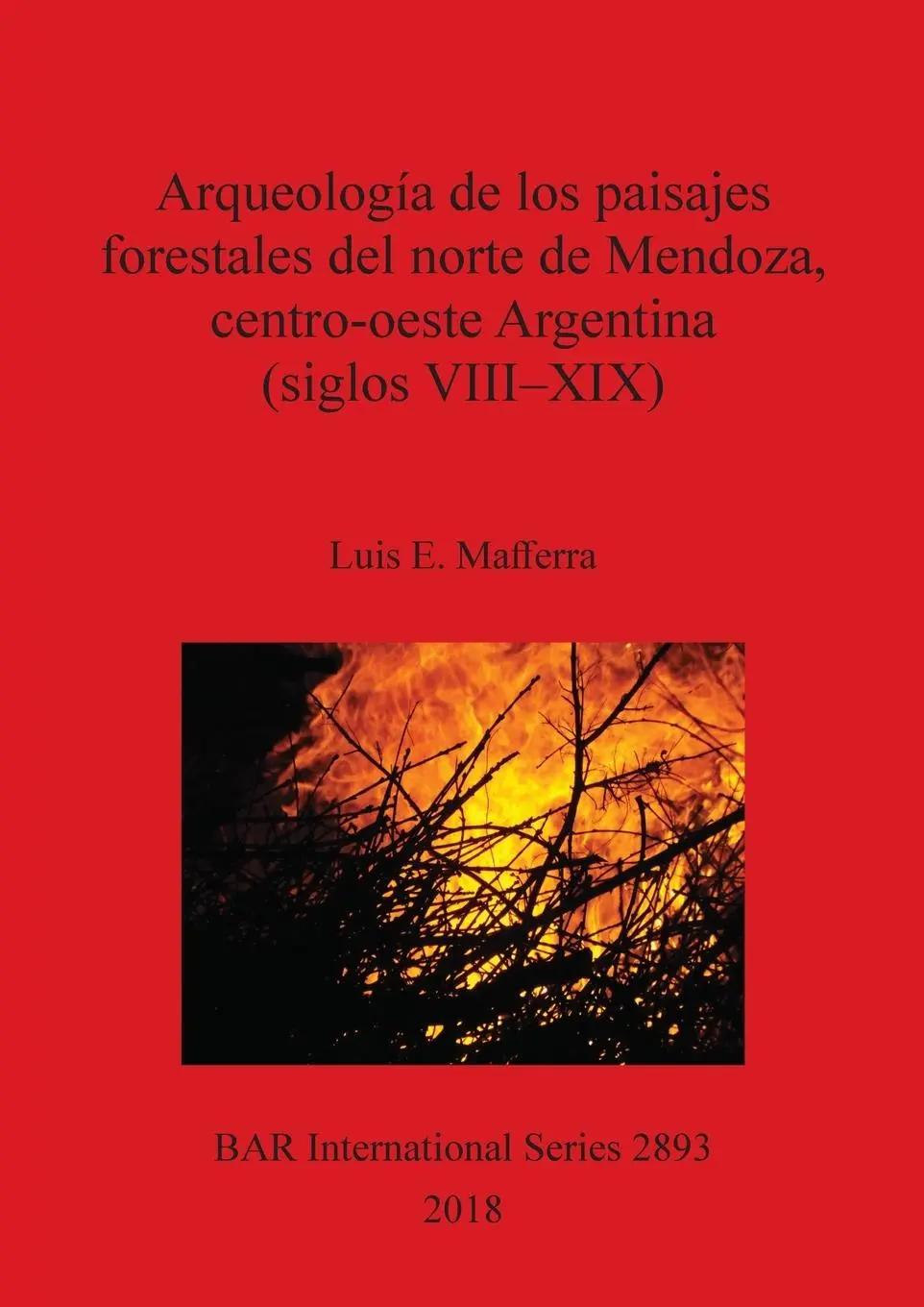 Cover: 9781407316475 | Arqueología de los paisajes forestales del norte de Mendoza,...