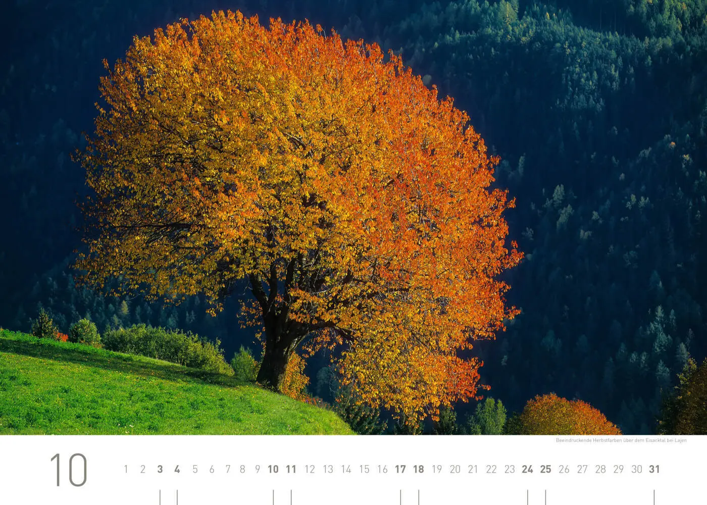 Bild: 9783968556475 | Südtirol und Dolomiten Exklusivkalender 2026 | Hartmut Krinitz | 2026