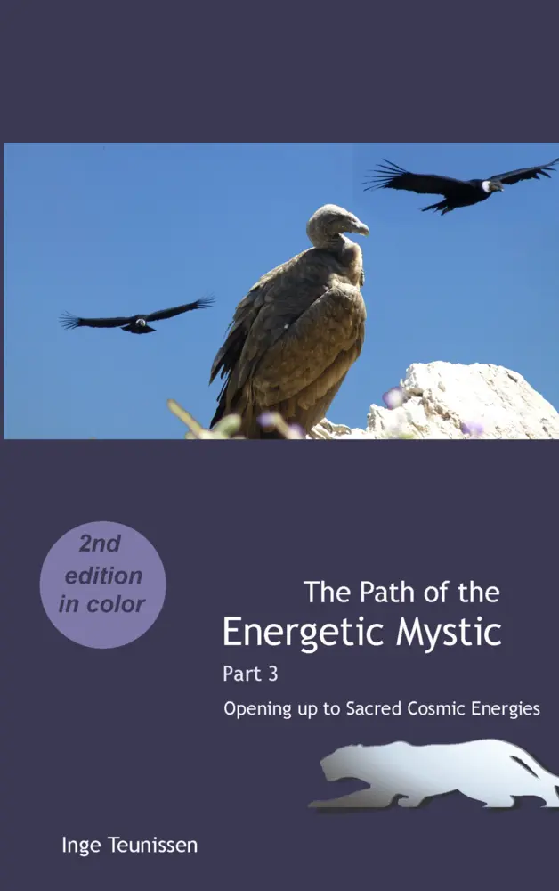 Cover: 9789403796475 | The Path of the Energetic Mystic | Inge Teunissen | Taschenbuch