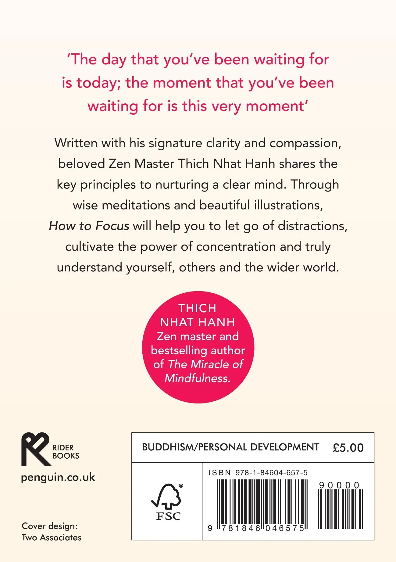 Rückseite: 9781846046575 | How to Focus | Thich Nhat Hanh | Taschenbuch | 128 S. | Englisch