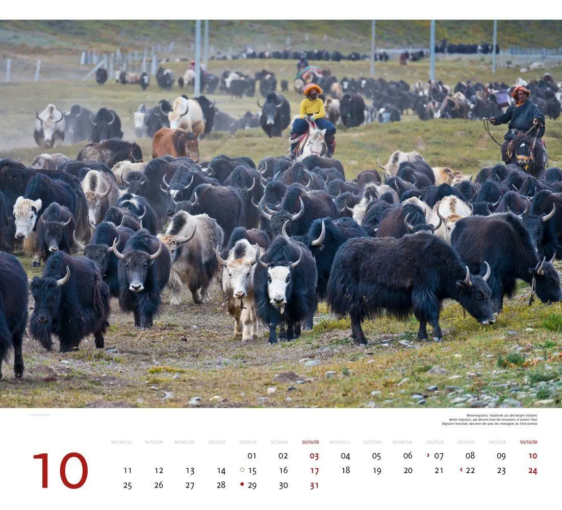 Bild: 9783938916575 | Tibet 2027 | Premium-Wandkalender Großformat 48,5 x 44cm | Schubert