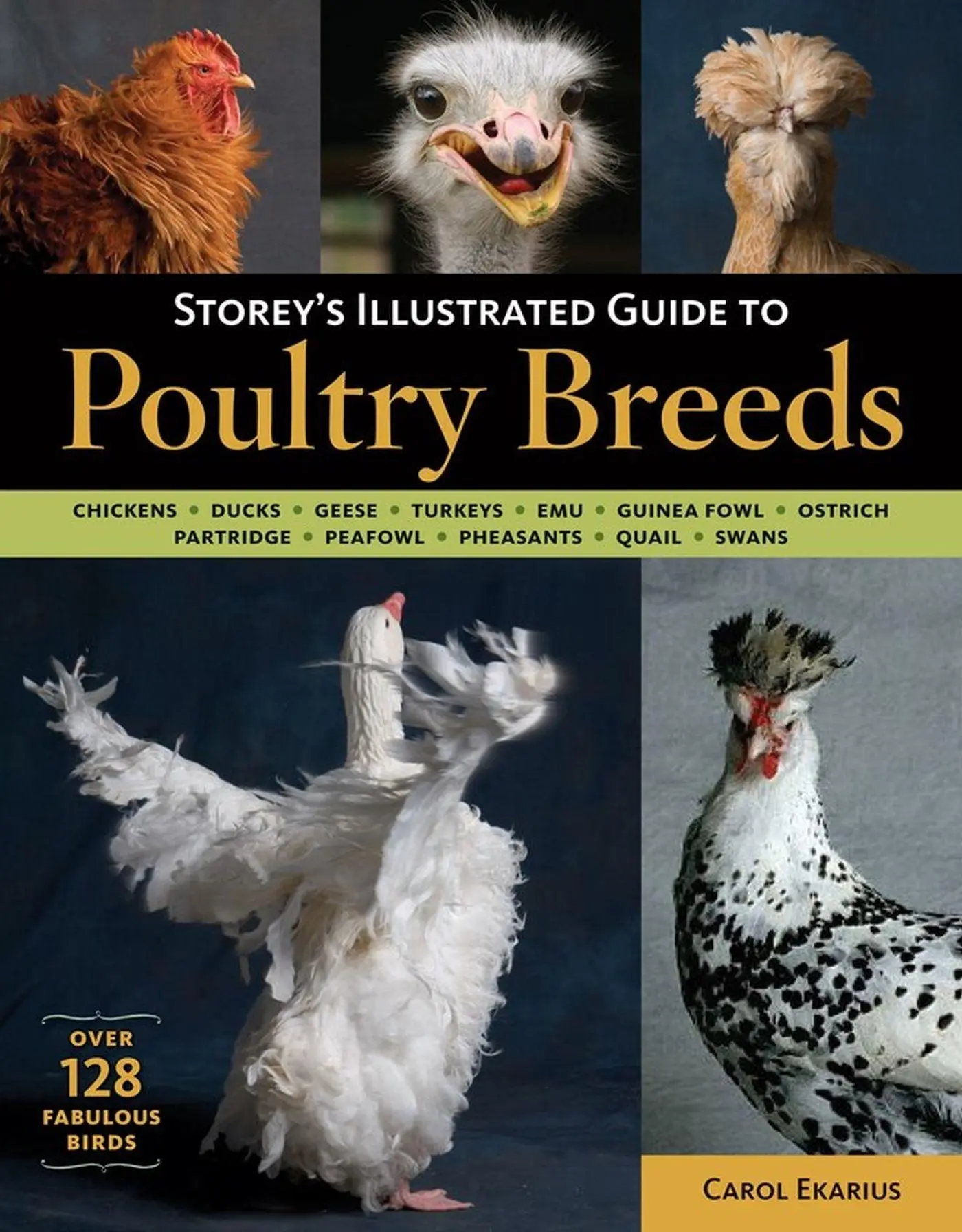 Cover: 9781580176675 | Storey's Illustrated Guide to Poultry Breeds | Carol Ekarius | Buch