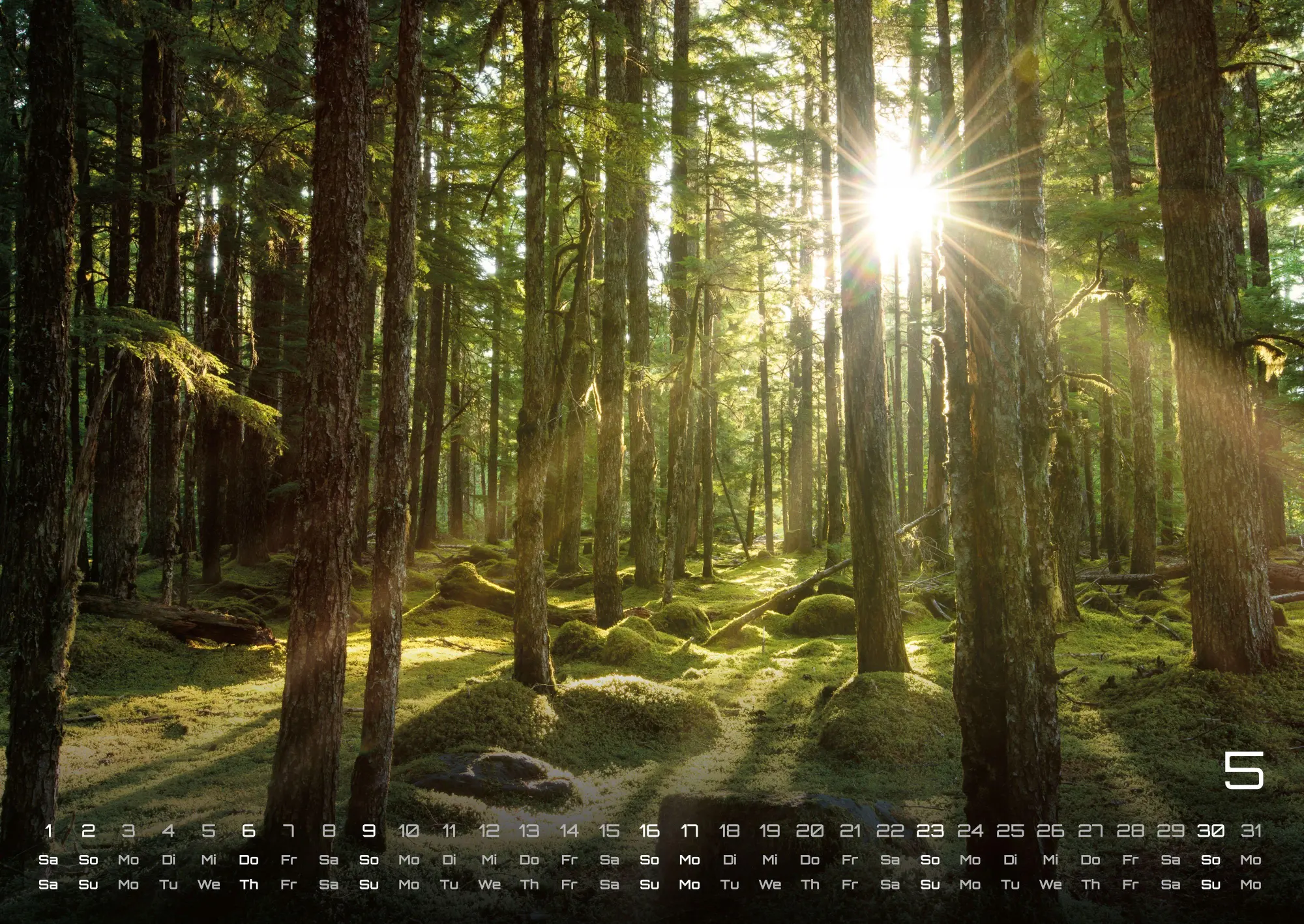 Bild: 9783986736675 | Moments - wundervolle Momentaufnahmen - 2027 - Kalender DIN A2 | de