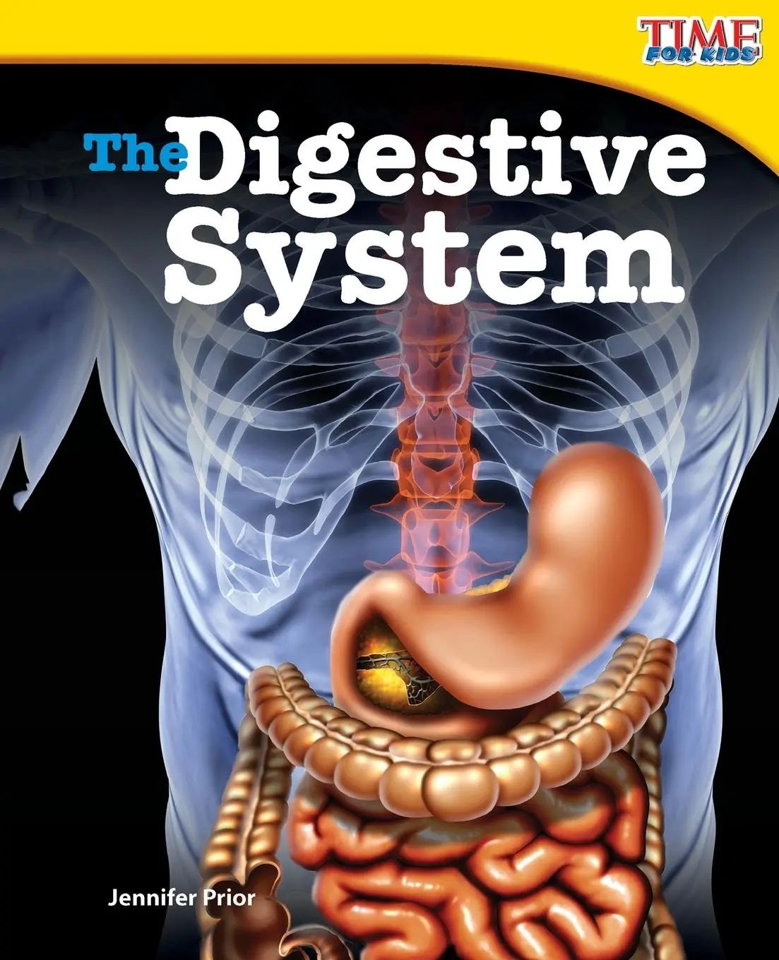 Cover: 9781433336775 | The Digestive System | Jennifer Prior | Taschenbuch | Englisch | 2012