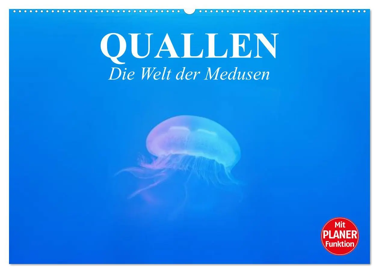Cover: 9783457996775 | Quallen. Die Welt der Medusen (Wandkalender 2026 DIN A2 quer),...