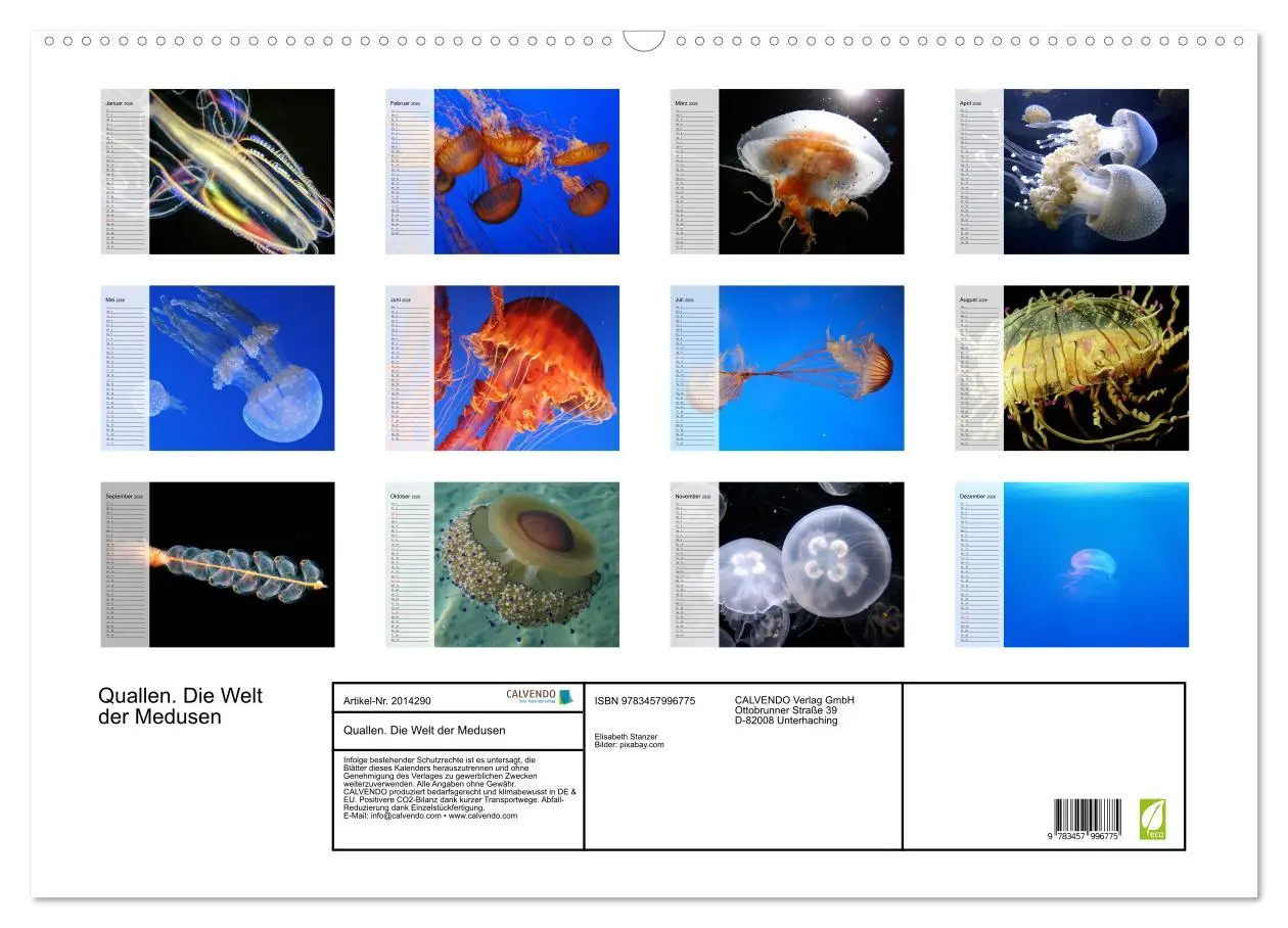Bild: 9783457996775 | Quallen. Die Welt der Medusen (Wandkalender 2026 DIN A2 quer),...