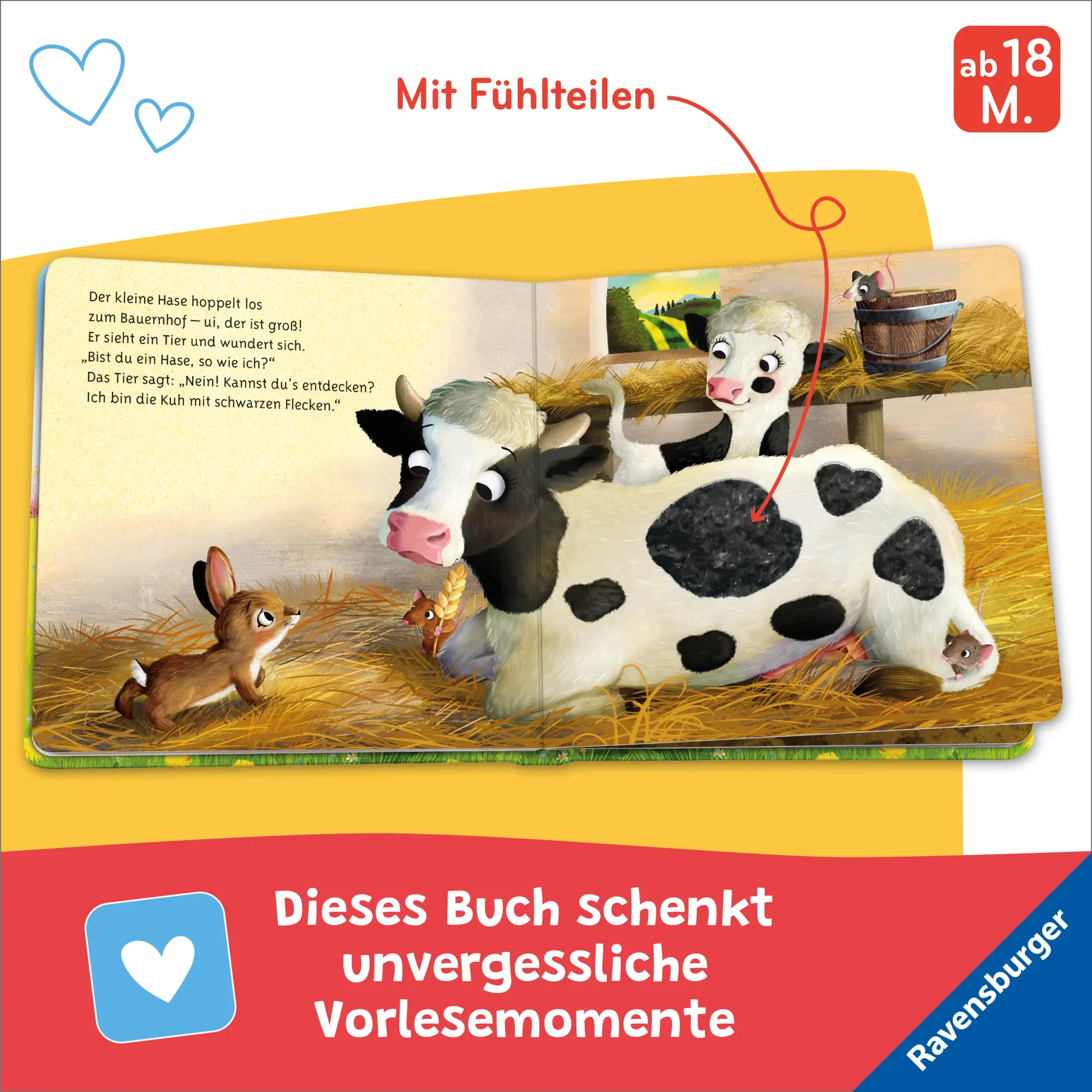Bild: 9783473416875 | Mein erstes Vorlese-Fühlbuch: Bist du ein Hase? | Kathrin Lena Orso