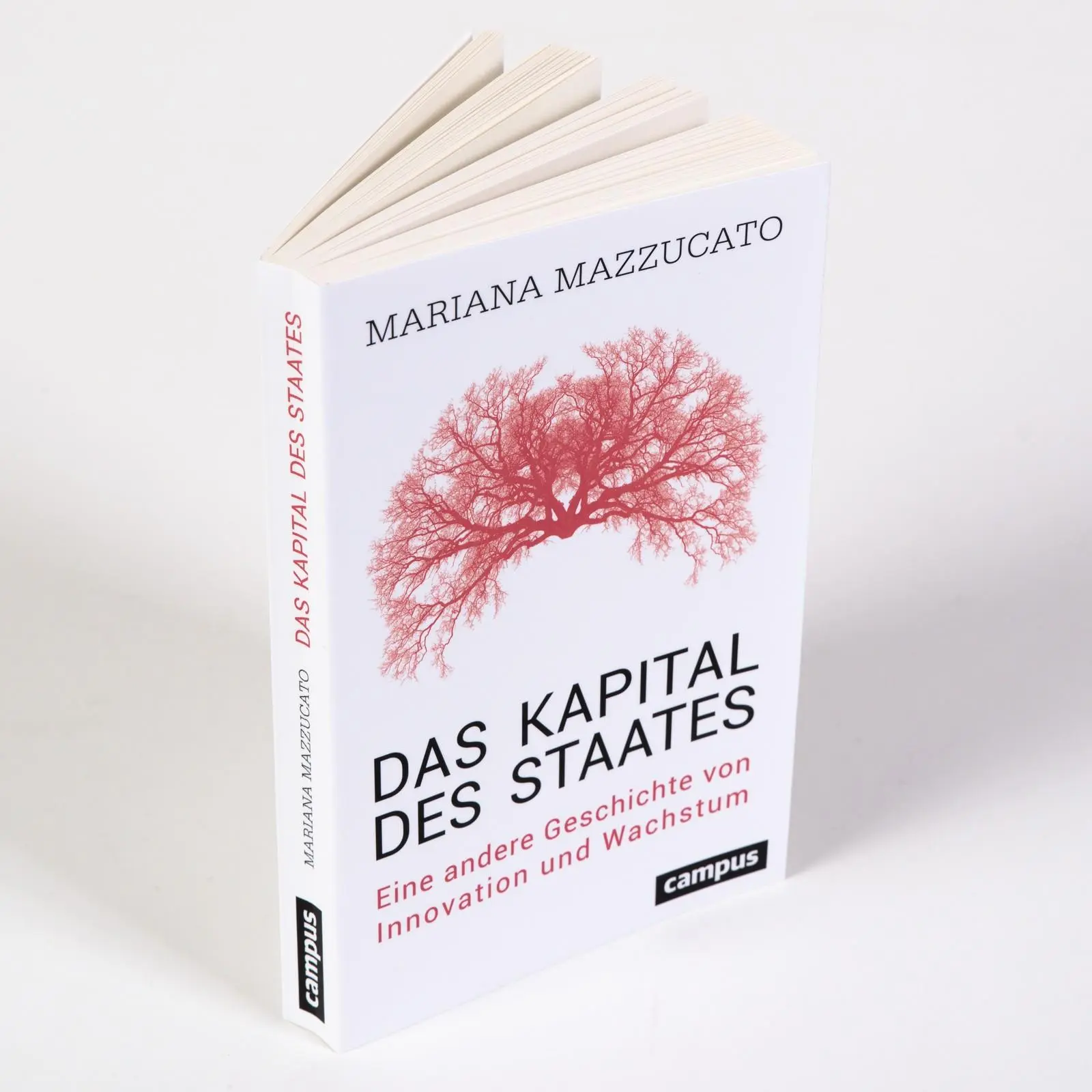 Bild: 9783593516875 | Das Kapital des Staates | Mariana Mazzucato | Taschenbuch | 304 S.
