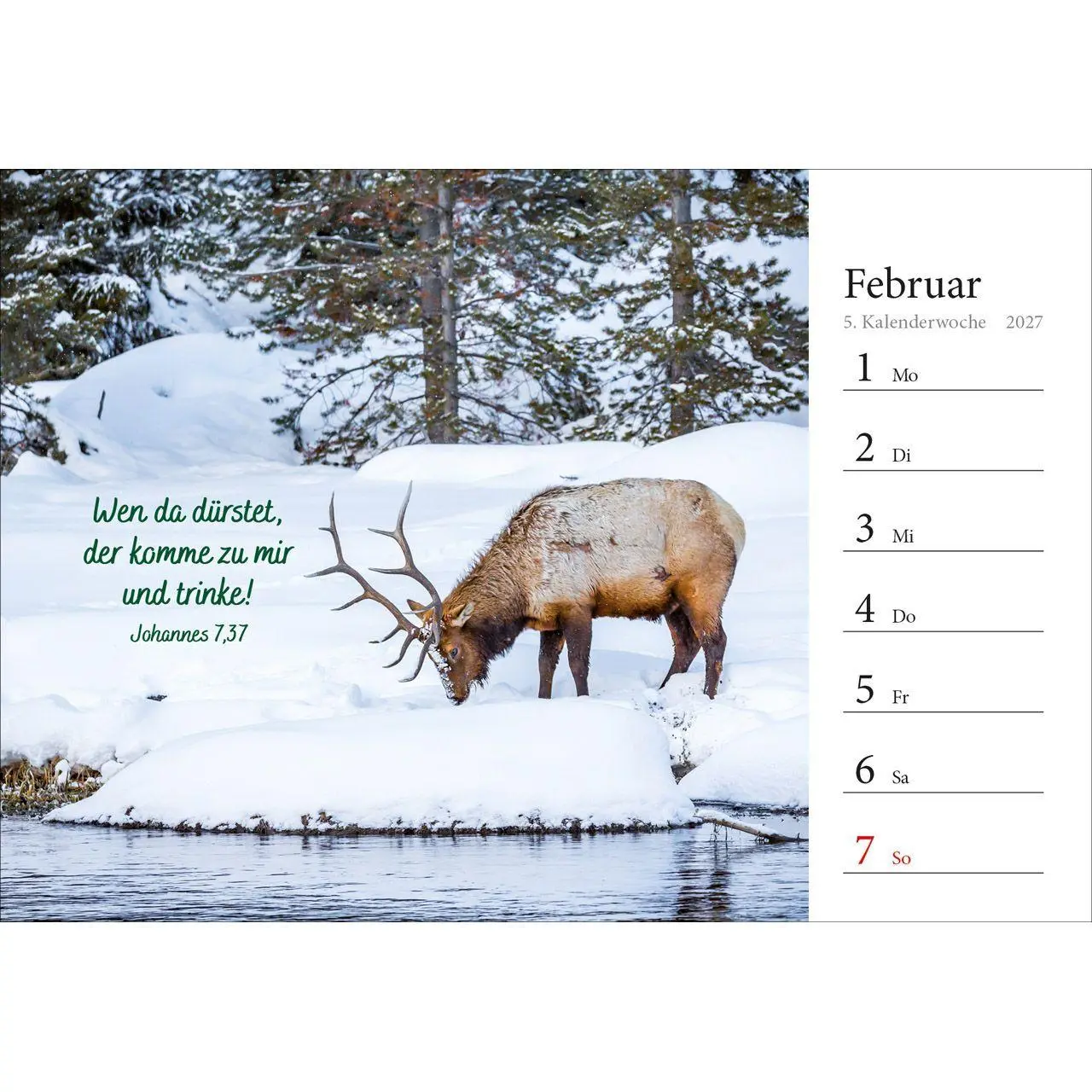 Bild: 9783754816875 | In deine Hand stell ich den Tag 2027 | Wochen-Aufstellkalender | 54 S.
