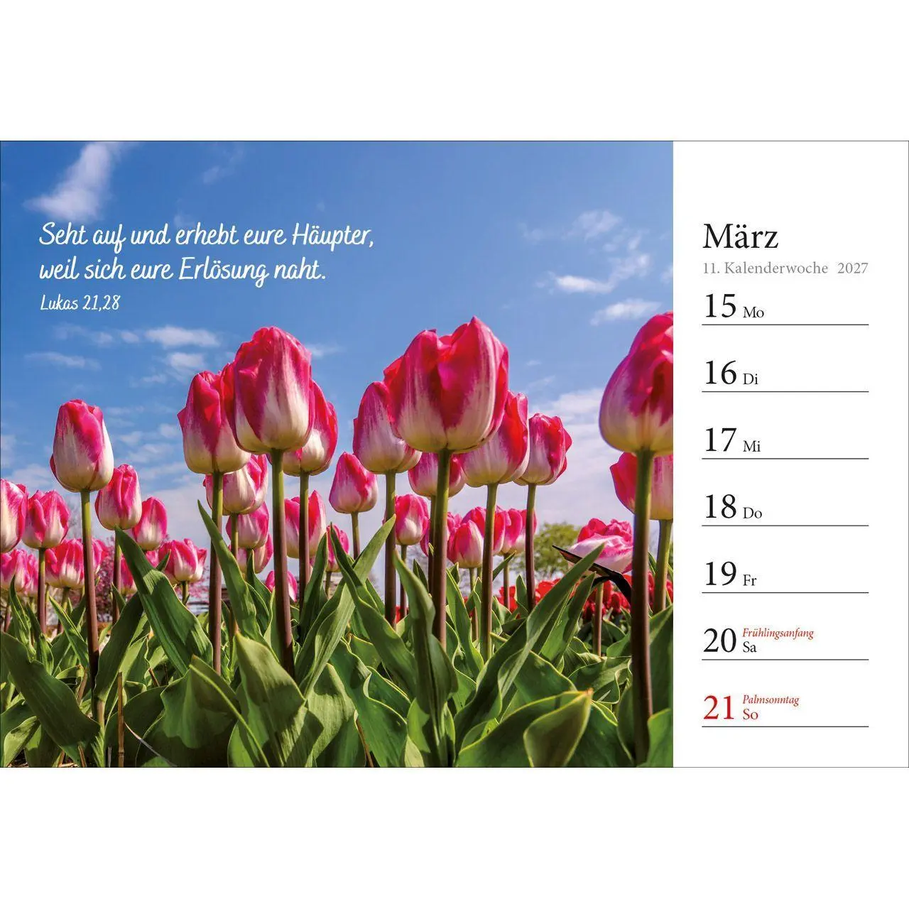Bild: 9783754816875 | In deine Hand stell ich den Tag 2027 | Wochen-Aufstellkalender | 54 S.
