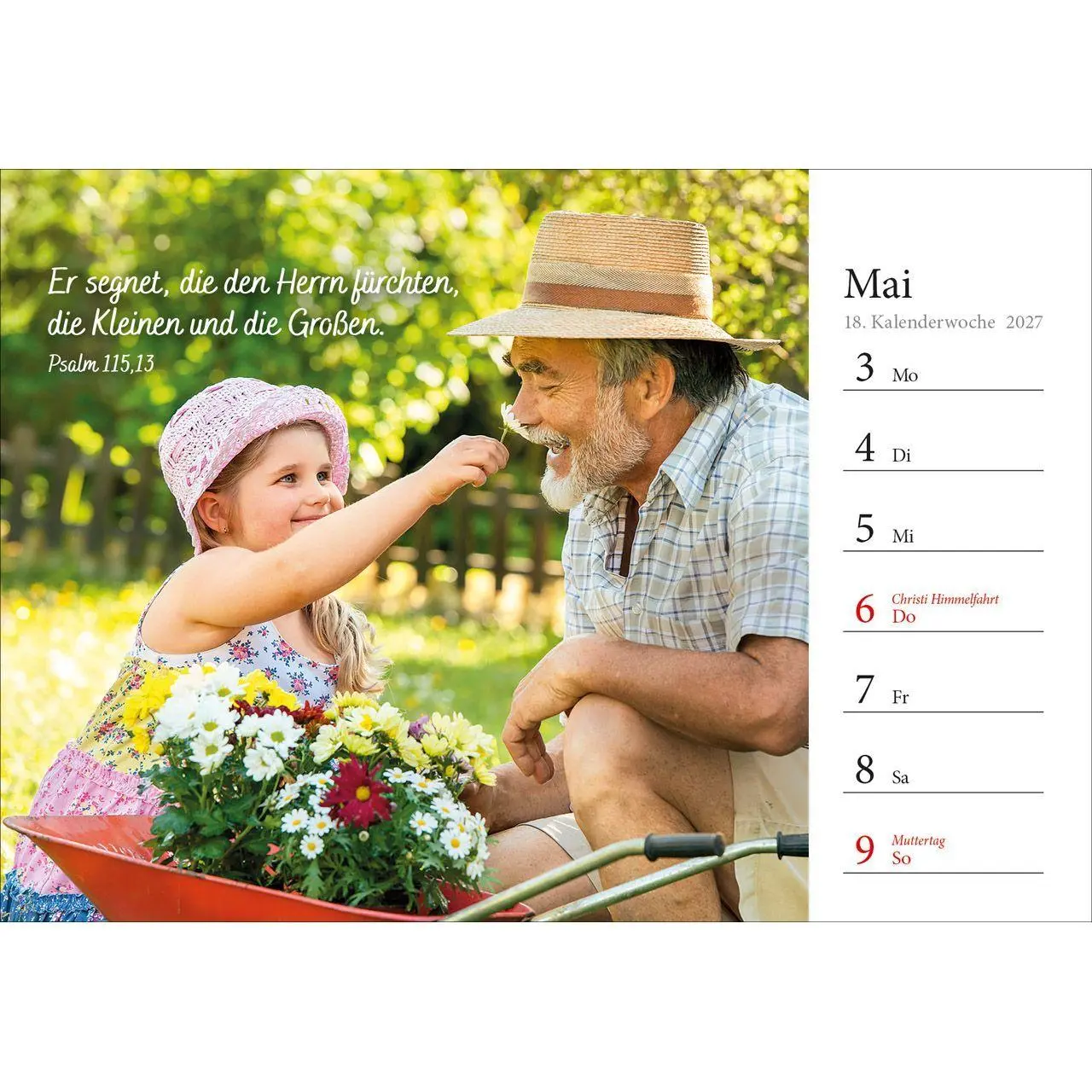 Bild: 9783754816875 | In deine Hand stell ich den Tag 2027 | Wochen-Aufstellkalender | 54 S.