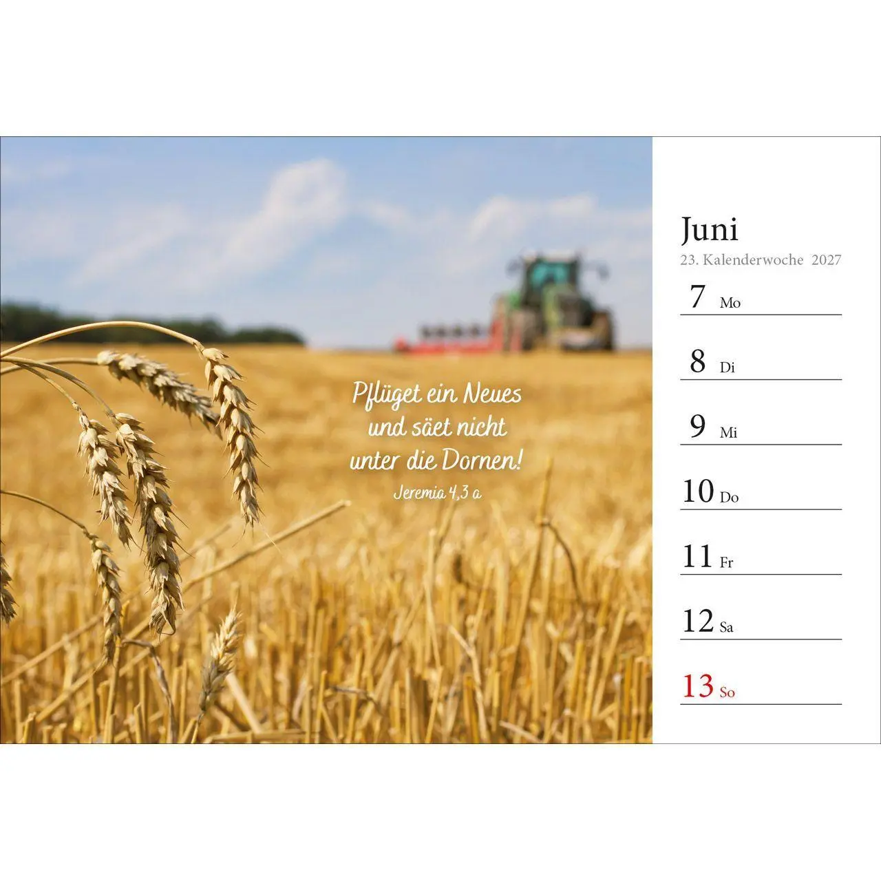 Bild: 9783754816875 | In deine Hand stell ich den Tag 2027 | Wochen-Aufstellkalender | 54 S.