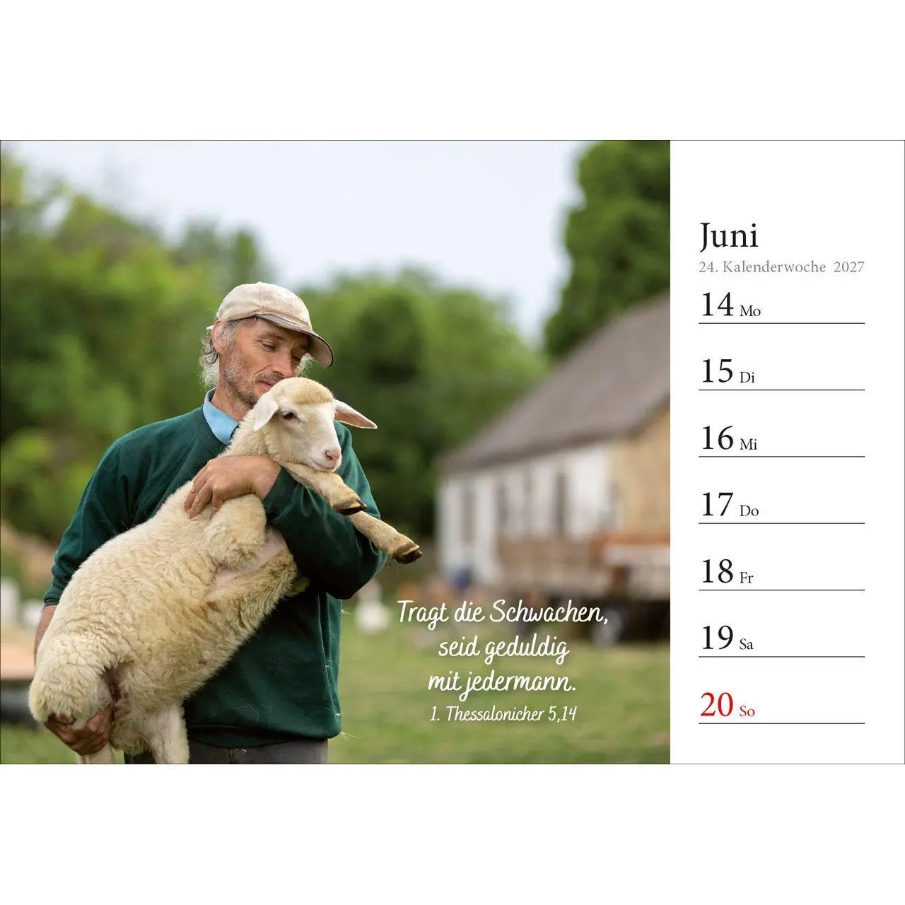 Bild: 9783754816875 | In deine Hand stell ich den Tag 2027 | Wochen-Aufstellkalender | 54 S.
