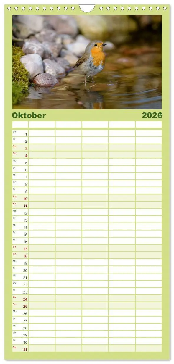 Bild: 9783516516975 | Familienplaner 2026 - Vögel mit 5 Spalten (Wandkalender, 21 x 45...
