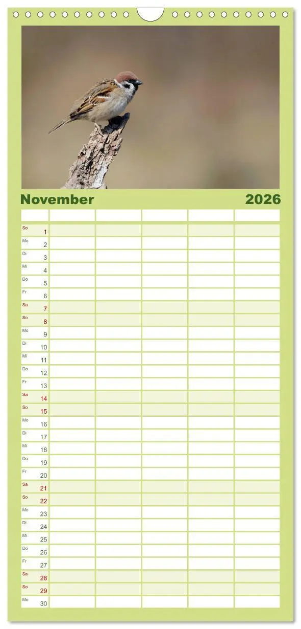 Bild: 9783516516975 | Familienplaner 2026 - Vögel mit 5 Spalten (Wandkalender, 21 x 45...