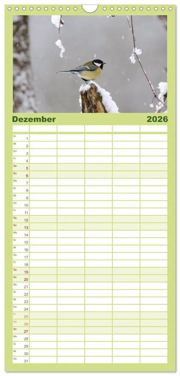 Bild: 9783516516975 | Familienplaner 2026 - Vögel mit 5 Spalten (Wandkalender, 21 x 45...
