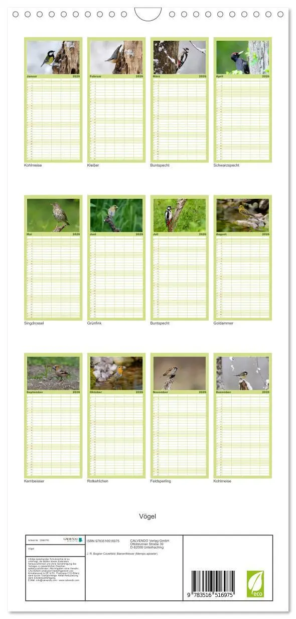 Bild: 9783516516975 | Familienplaner 2026 - Vögel mit 5 Spalten (Wandkalender, 21 x 45...