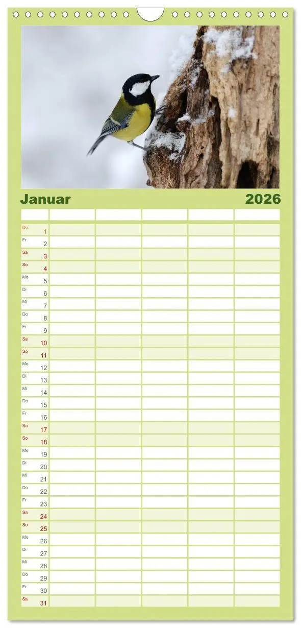 Bild: 9783516516975 | Familienplaner 2026 - Vögel mit 5 Spalten (Wandkalender, 21 x 45...