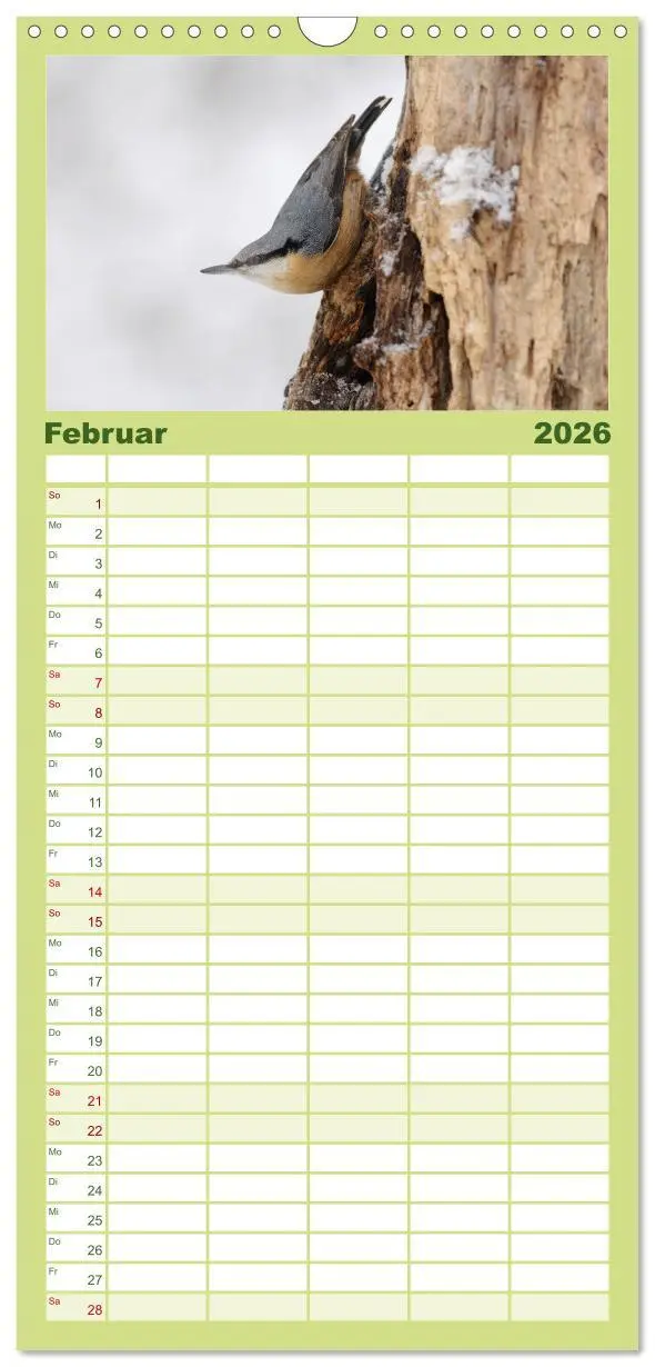 Bild: 9783516516975 | Familienplaner 2026 - Vögel mit 5 Spalten (Wandkalender, 21 x 45...