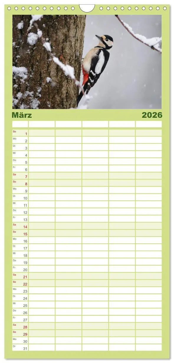 Bild: 9783516516975 | Familienplaner 2026 - Vögel mit 5 Spalten (Wandkalender, 21 x 45...