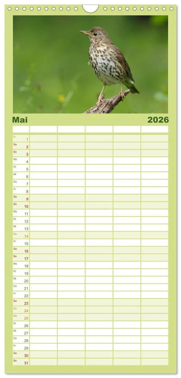 Bild: 9783516516975 | Familienplaner 2026 - Vögel mit 5 Spalten (Wandkalender, 21 x 45...