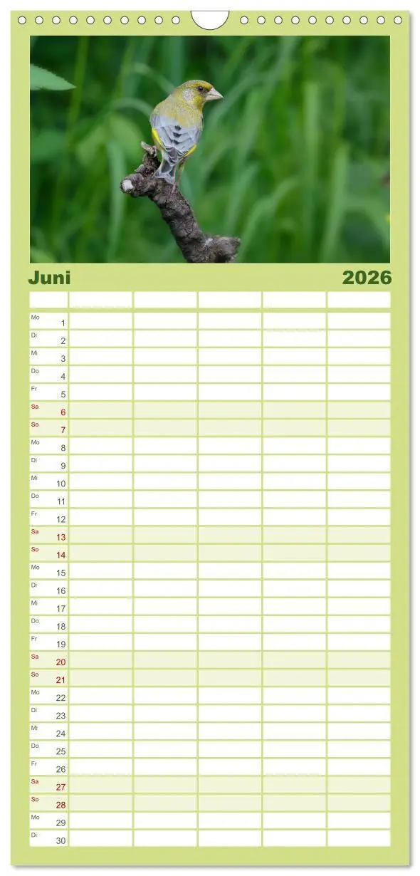 Bild: 9783516516975 | Familienplaner 2026 - Vögel mit 5 Spalten (Wandkalender, 21 x 45...