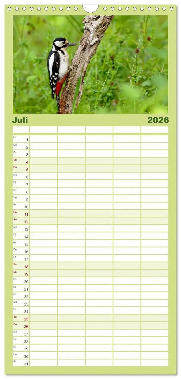 Bild: 9783516516975 | Familienplaner 2026 - Vögel mit 5 Spalten (Wandkalender, 21 x 45...