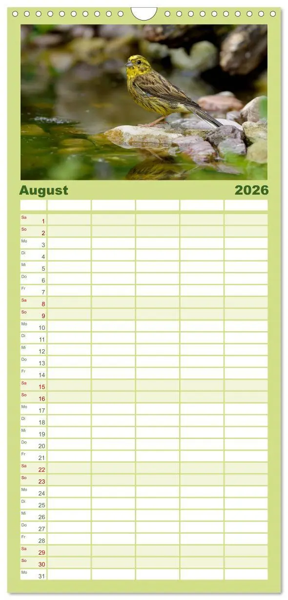 Bild: 9783516516975 | Familienplaner 2026 - Vögel mit 5 Spalten (Wandkalender, 21 x 45...
